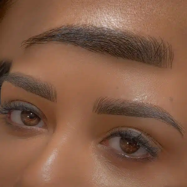 Hybrid Brows Hybrid